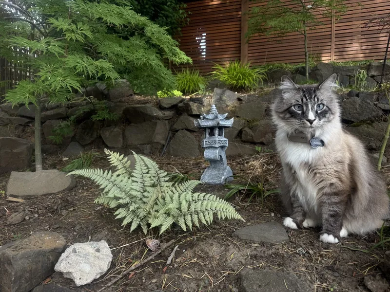 Designer Japandi Tiny Haus near UO|Zen Garden & Spa - Photo 27