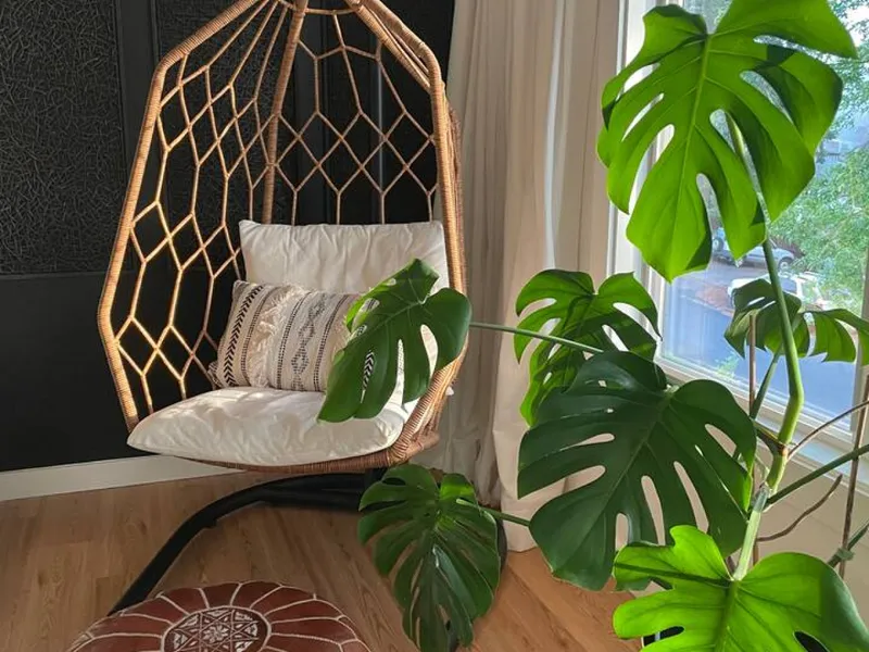 Zen Haus: Spa Home with 3 Kings near UO - Photo 5